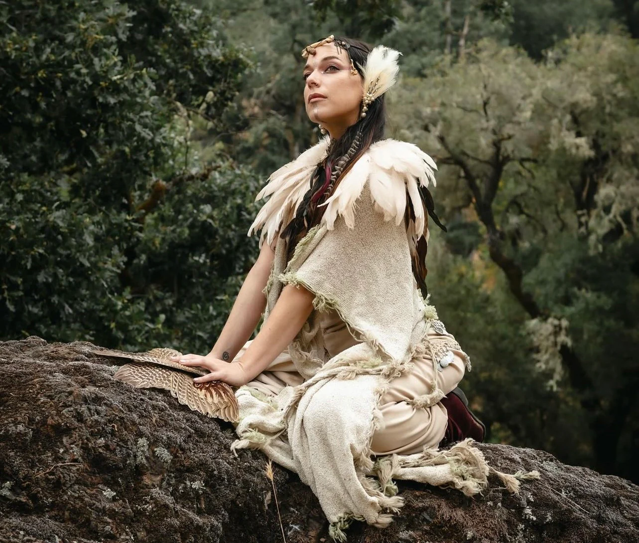 The Sacred Path of Dreaming - Image 2