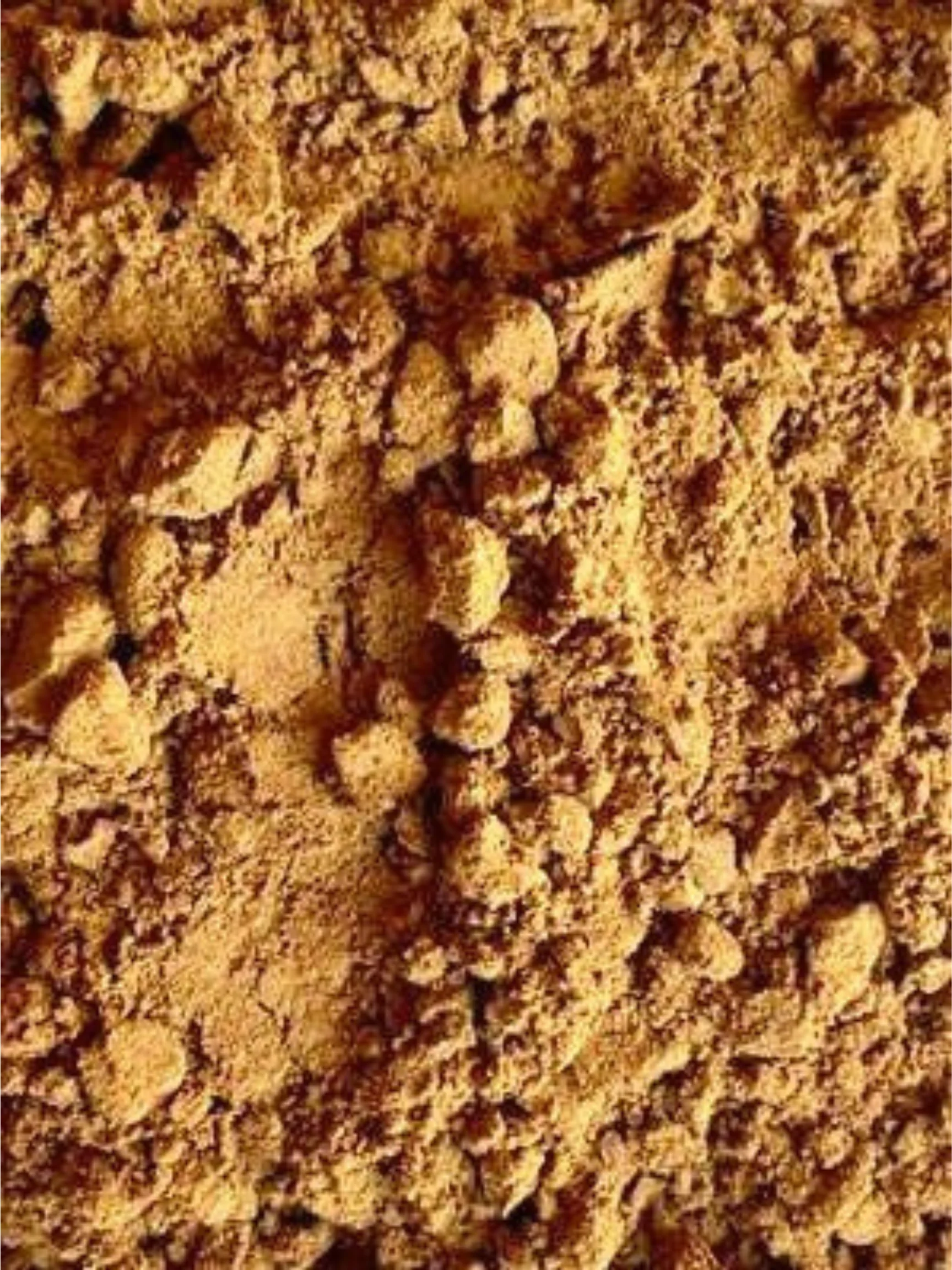 Tremella Mushroom Powder, Organic 4 oz BULK BAG