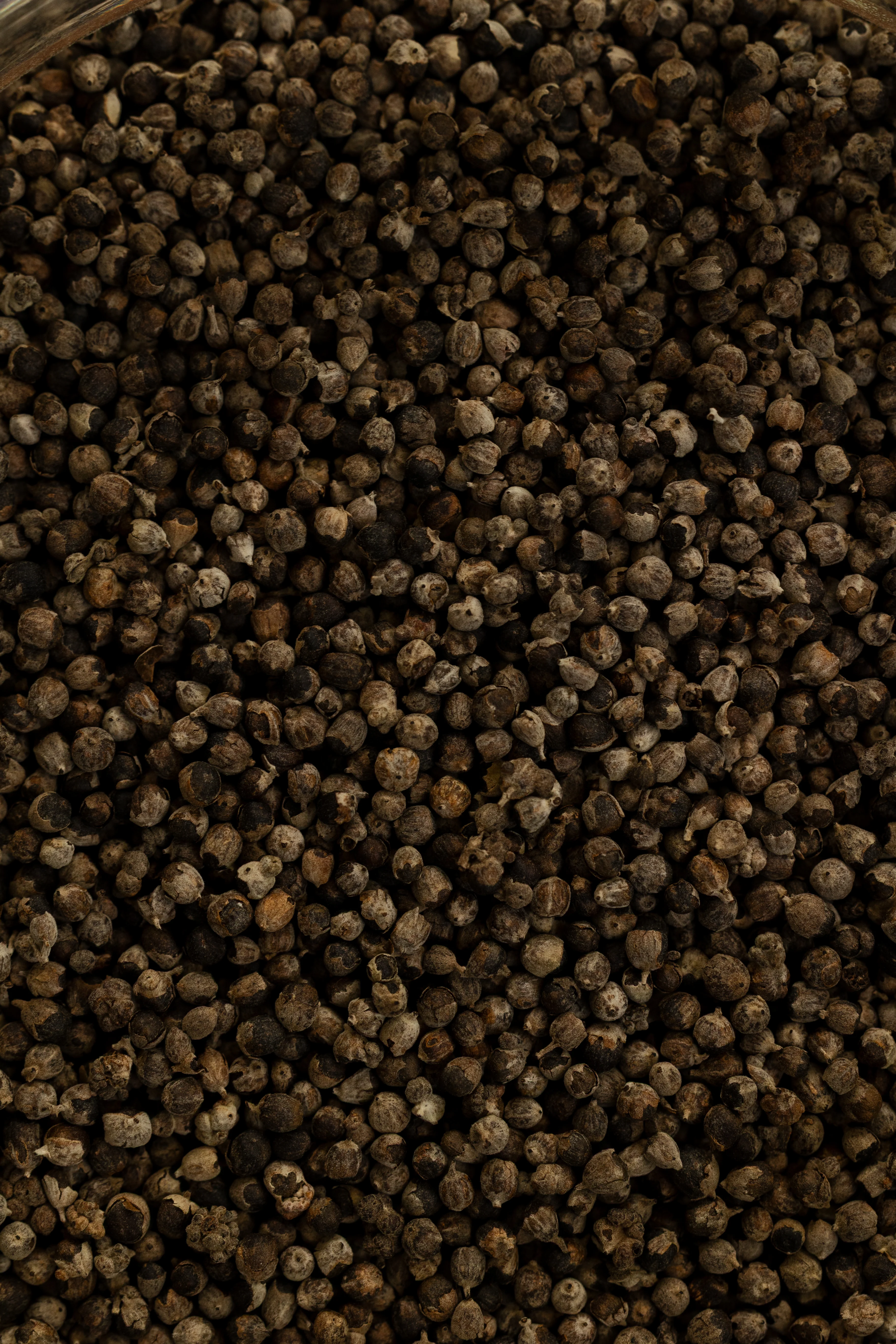 Chaste Berry (Vitex), Organic 4 oz BULK BAG - Image 2