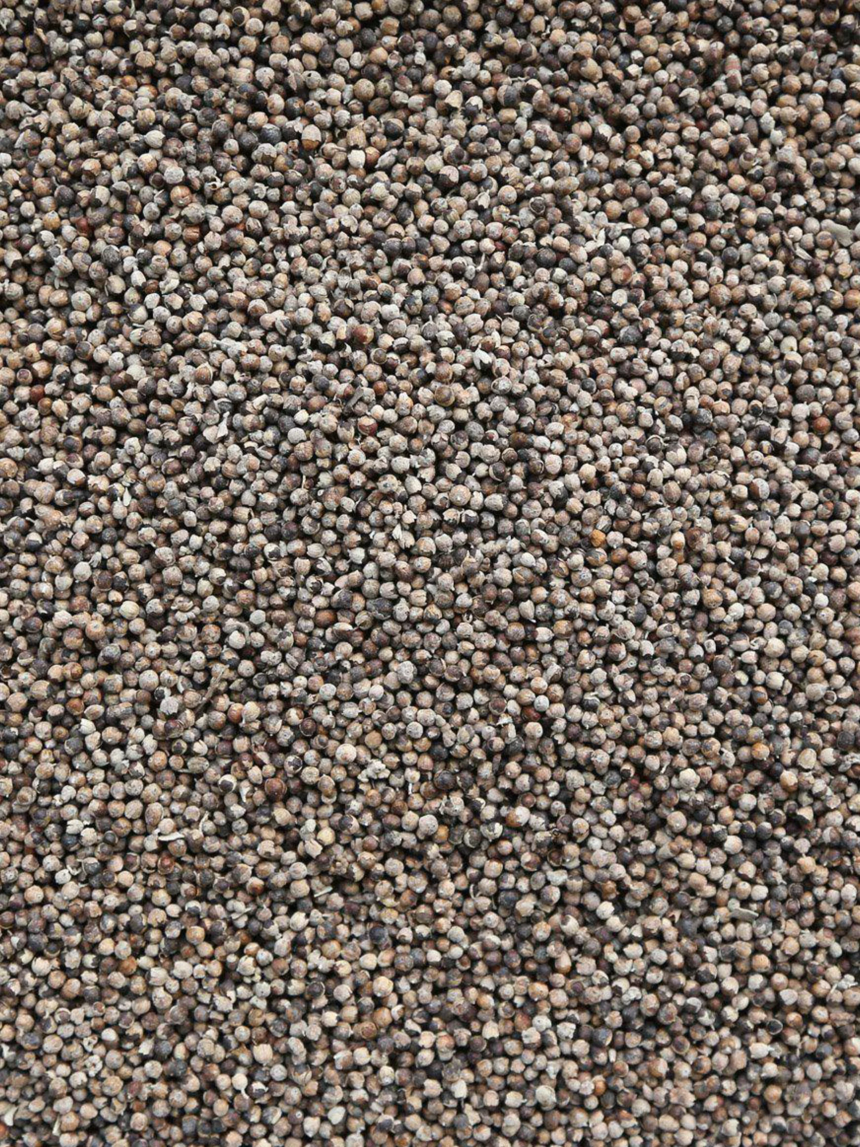 Chaste Berry (Vitex), Organic 4 oz BULK BAG - Image 4