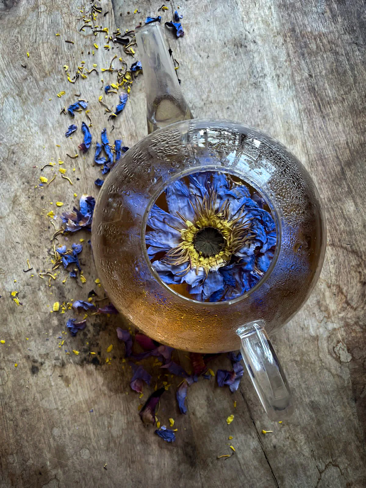 WHOLE BLUE FLOWERS | Blossoms of Intuition* - Image 10